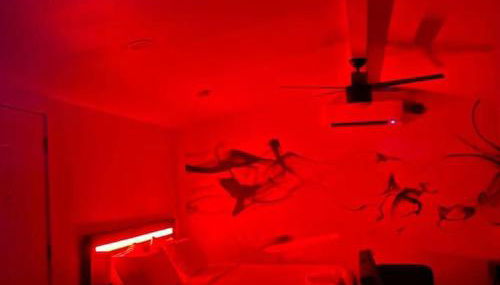 Phoenix Retreat - Studio with King Bed - 10 min from Airp - Unit C - Foto 3