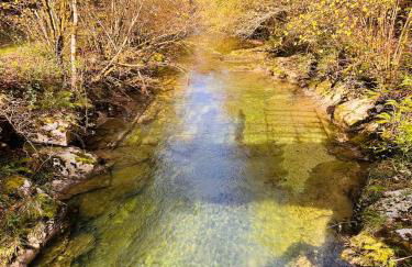 La Molnera - Foto 16