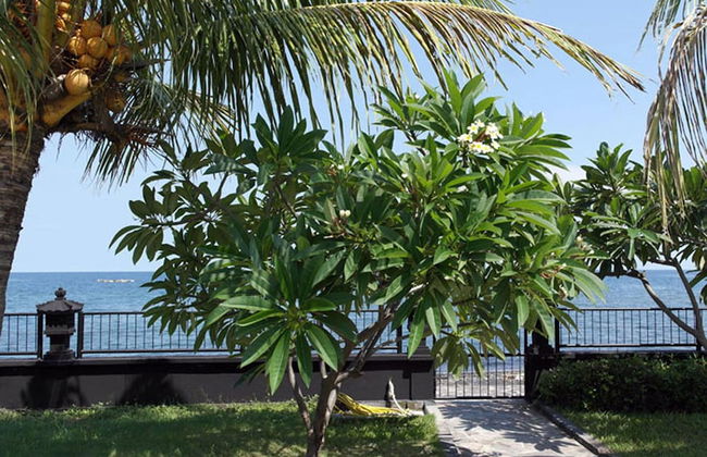 Villa Cymopoleia - Foto 25