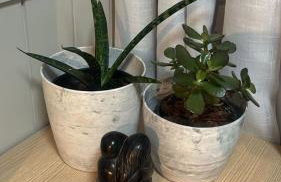 Studio Plus Portão - Conforto, Sofisticação e Ótima Localização - Foto 17