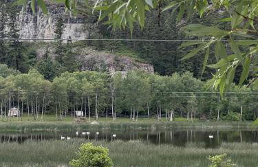 Charming 1 bedbath Suite in waterfront Cottage - Foto 13