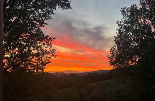 Villa FARFA - Foto 25