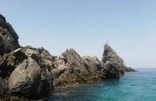 Appartamento City - Photo 64