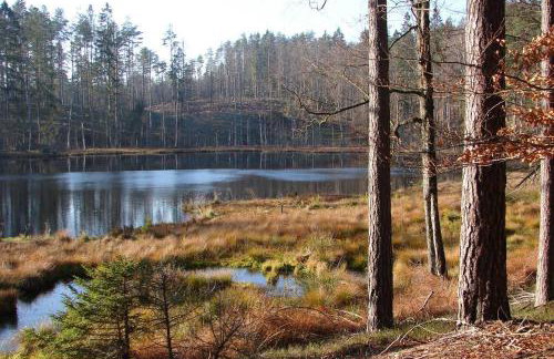 Na Wysokiej Górce- Agroturystyka - Foto 10