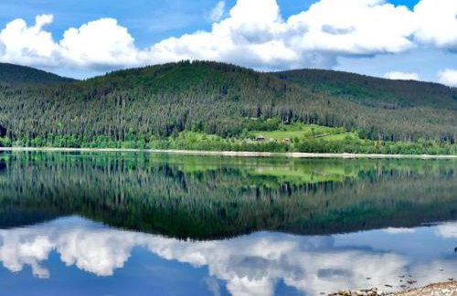 Beautiful Apartment in a Black Forest House With Conservatory - Foto 62
