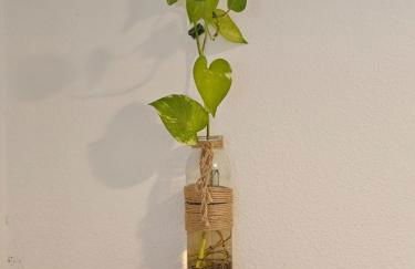 Newly Renovated Modern Studio - Foto 7