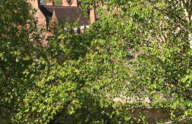 Dean Village Cottage - Foto 24