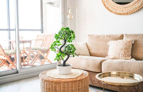 Studio chic & cosy vue mer, clim, parking - Foto 20