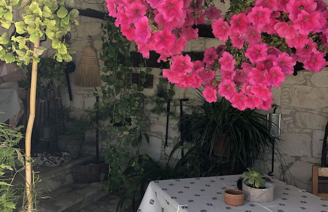 Olympia Traditional Houses - Foto 45