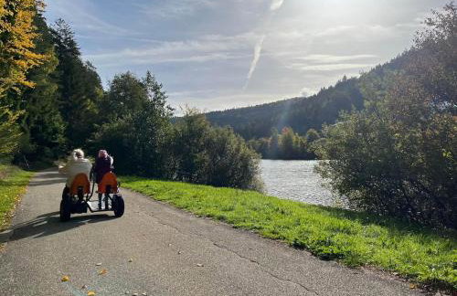 Haus Löwe - Komplettes Ferienhaus am Badesee - Foto 34