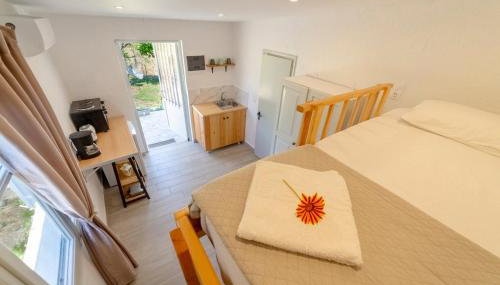 Antigone’s garden - Foto 2