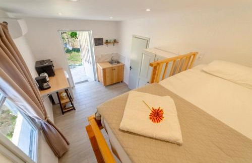 Antigone’s garden - Photo 2