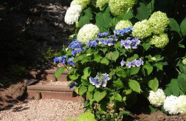 Gite de la Melch - Foto 12