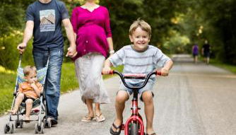 Canadian Hemlock . Trailside Lodging - Foto 4
