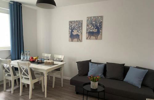 City Apartment 3 Krefeld - 20 km DUS Airport/Messe - Photo 8