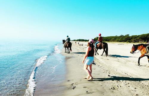 Beach house à Marina di Sorbo …Corse - Foto 27