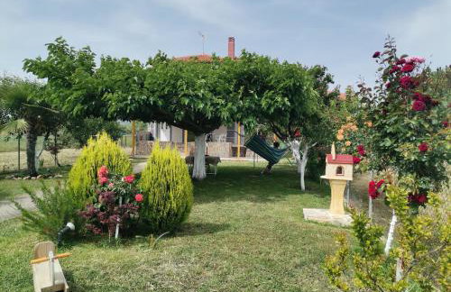 Villa Sophie - Photo 28