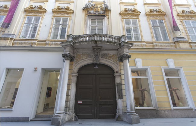 Heart of Vienna Luxury Residence - Foto 31