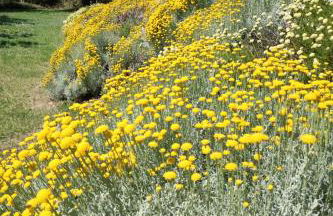 Terra di Ea - Foto 43