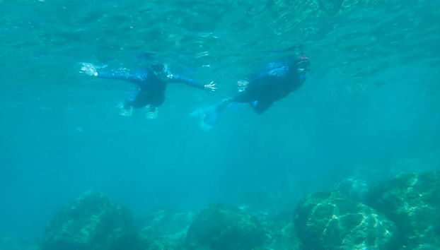 Nuotando nelle acque atlantiche