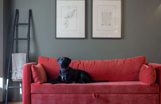 Condes de Azevedo Palace - Foto 58