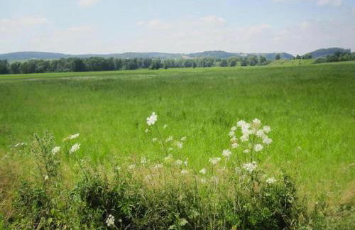 Holiday Home in Lissendorf by Forest - Foto 71