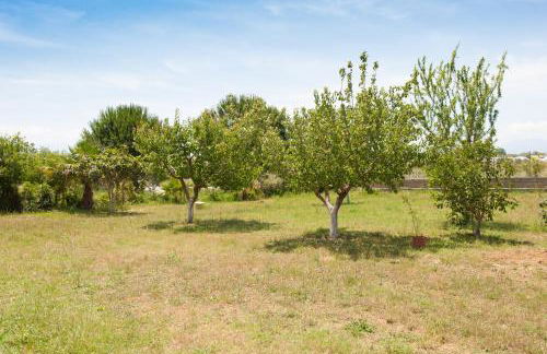 OLIVES Estate APARTMENTS Grande - Foto 17