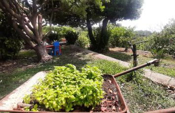 CA DU STEA - Foto 15