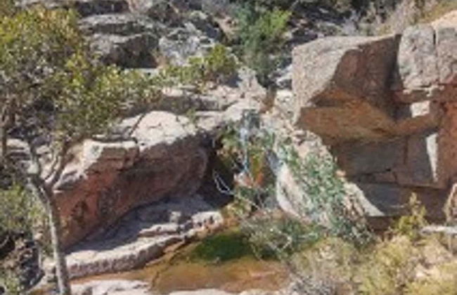 Foximanna on the North Floor in a Villa Surrounded by Greenery Facing the sea - Photo 45