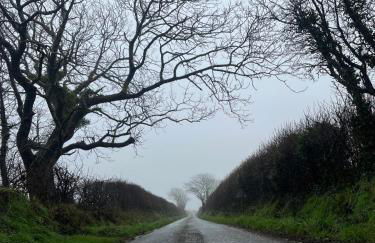 Seaside Cottage - Foto 20