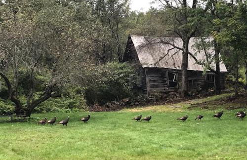 100 percent Private! Pool, Views, Skiing, Theatre! - Foto 39