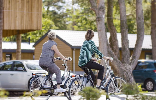 2 bedroom House in Otterlo with swimming pool and terrace - Photo 15