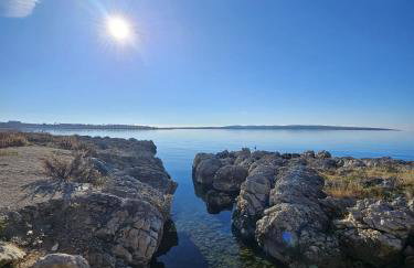 Roris House - Foto 44