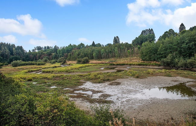 Holiday Home in Bullingen With Garden - Photo 39