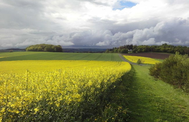 Holiday Home Moselle With Private Sauna - Photo 30
