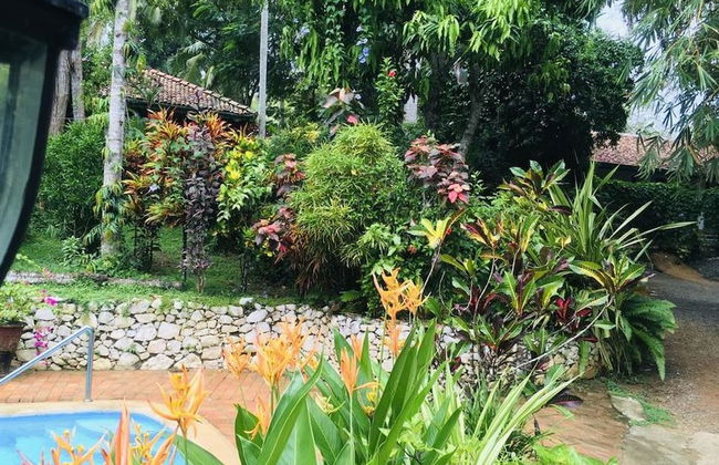 Whispering House - Photo 6