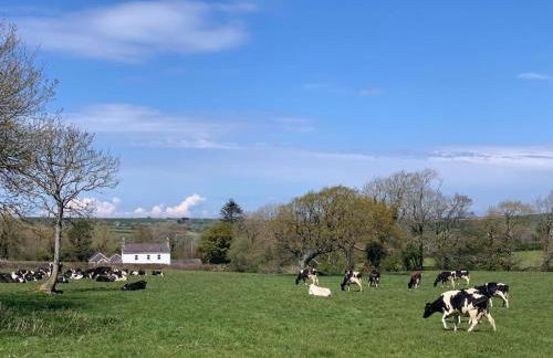 Canllefaes Cottages - Foto 54