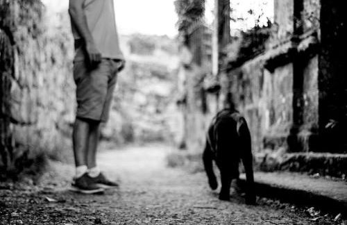 Aldea Rural Pazos De Arenteiro - Foto 49