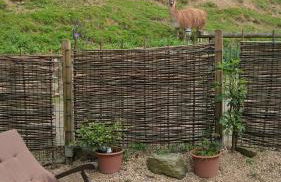 Funny-Farm - Foto 20