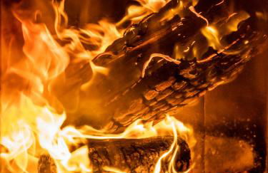 Bungalow B2 - Nature, Beach & River - Photo 23