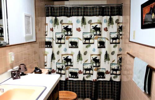 Lakefront Cottage Rental with Game Room near Ruth Lake, Minnesota - Photo 18