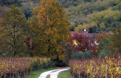 Al Benandant - Photo 32