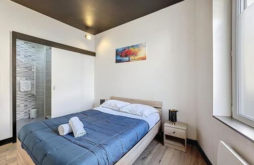 Appartement lumineux en rez-de-chaussée vers CHU - Foto 8