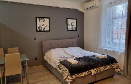 Apartments Top Center - Foto 49