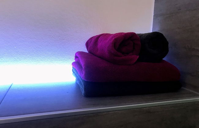 Ferienwohnungen Salzhausblick - Foto 71