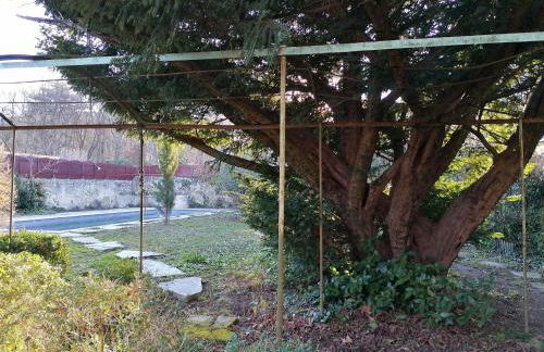 Croassecorbeau Maison de Famille au pied du Ventoux - Foto 15