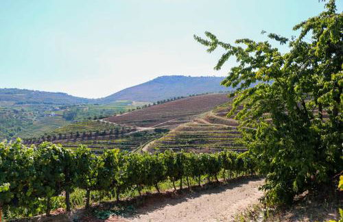 Quinta Teoria - Teoria Guest House - Photo 13