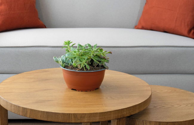 Art Homes 85 - Photo 54