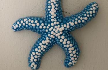 Casa Plauto - Foto 10