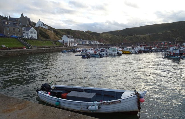 Orange Yurt With Hot Tub- Sleeps 3, Parking & Wifi - Photo 31
